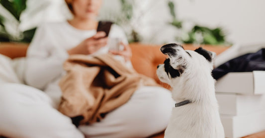 Comment soulager un pied enflé et douloureux : solutions et conseils pratiques