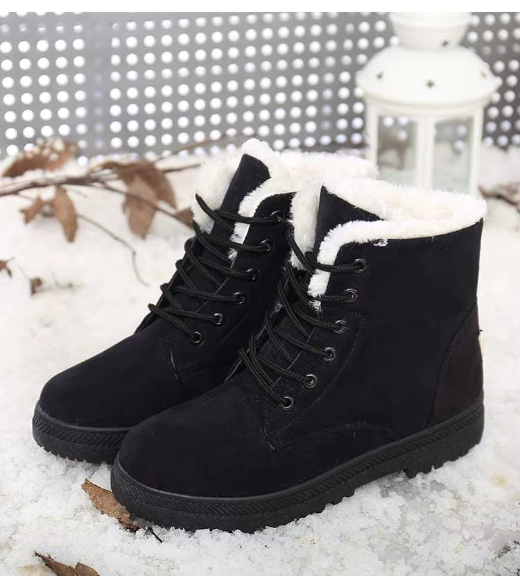 Bottines à Lacets Femme