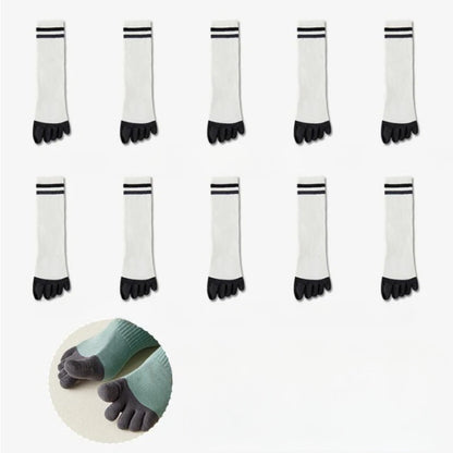 Chaussettes 100% coton homme - 40 / Noir