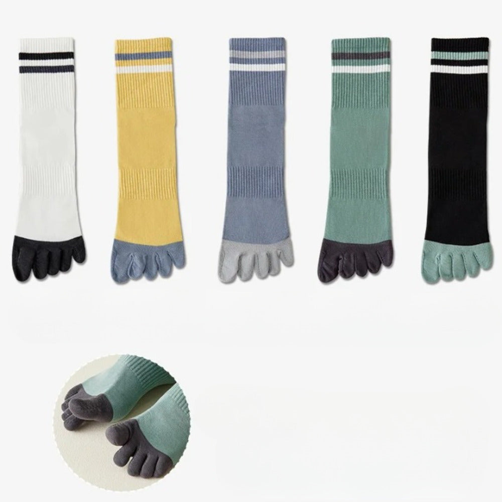 Chaussettes 100% coton homme - 39 / Anthracite