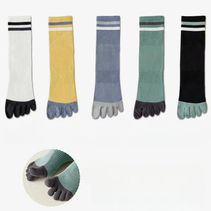 Chaussettes 100% coton homme - 39 / Anthracite