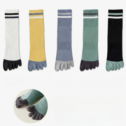 Chaussettes 100% coton homme - 39 / Anthracite