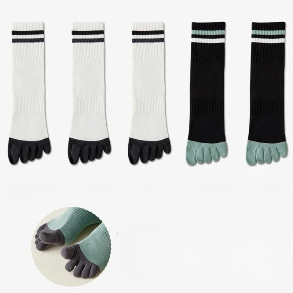 Chaussettes 100% coton homme - 40 / Vert