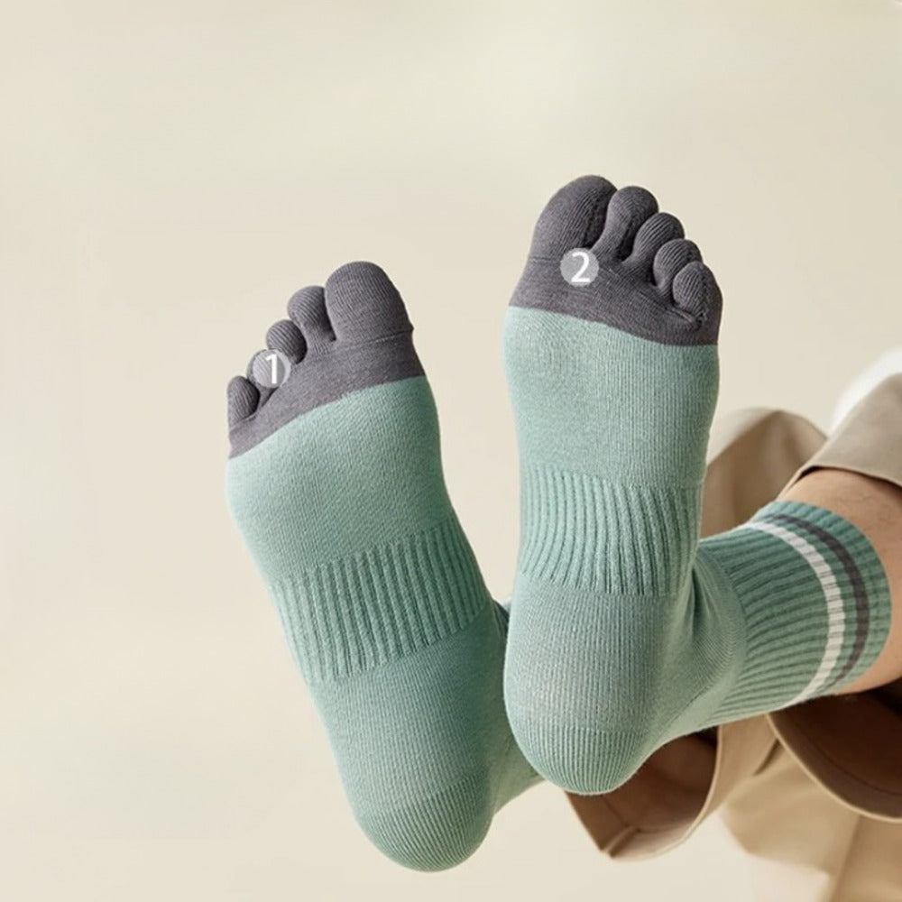 Chaussettes 100% coton homme - 41 / Anthracite