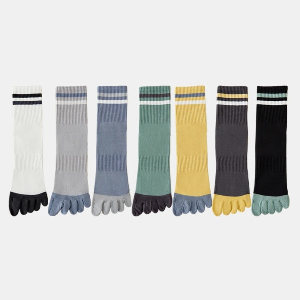 Chaussettes 100% coton homme - 39 / Gris clair