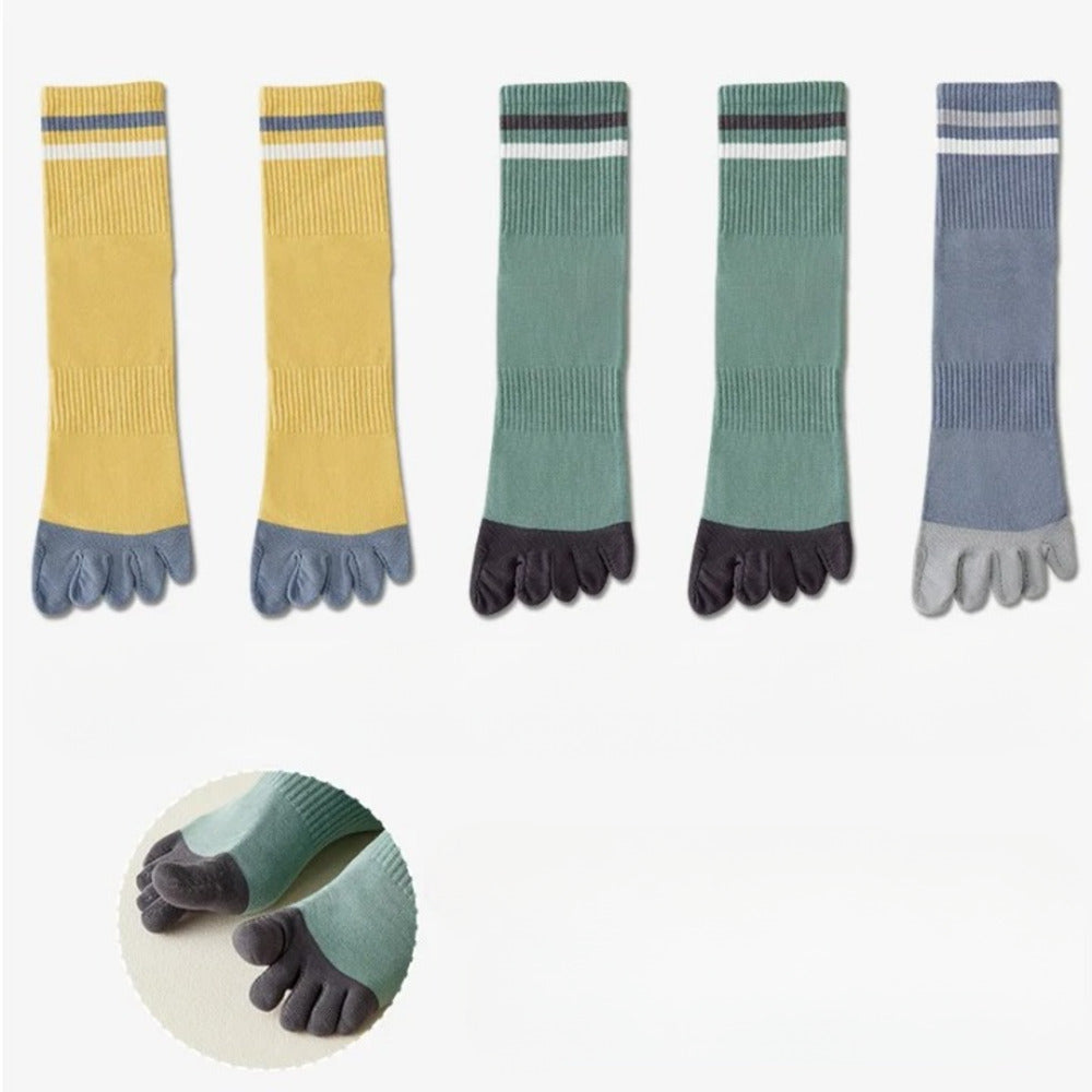 Chaussettes 100% coton homme - 40 / Gris clair