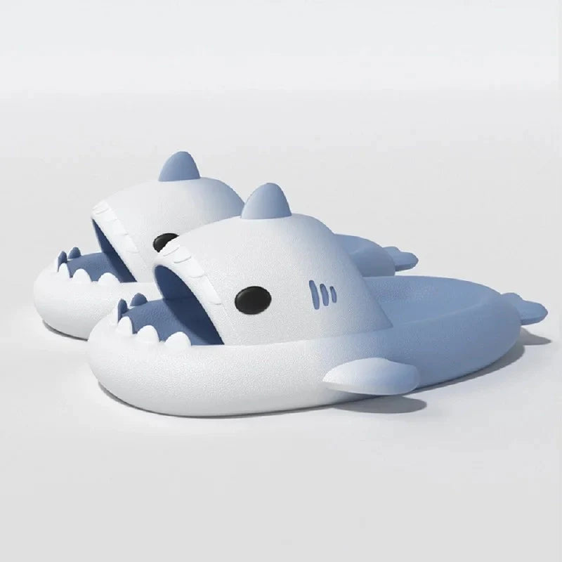 claquettes requin - 42 / CornflowerBlue