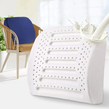Coussin Orthopédique Dos en Latex