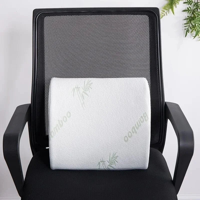 Double Coussin Orthopédique Dos, Assise Et Dossier